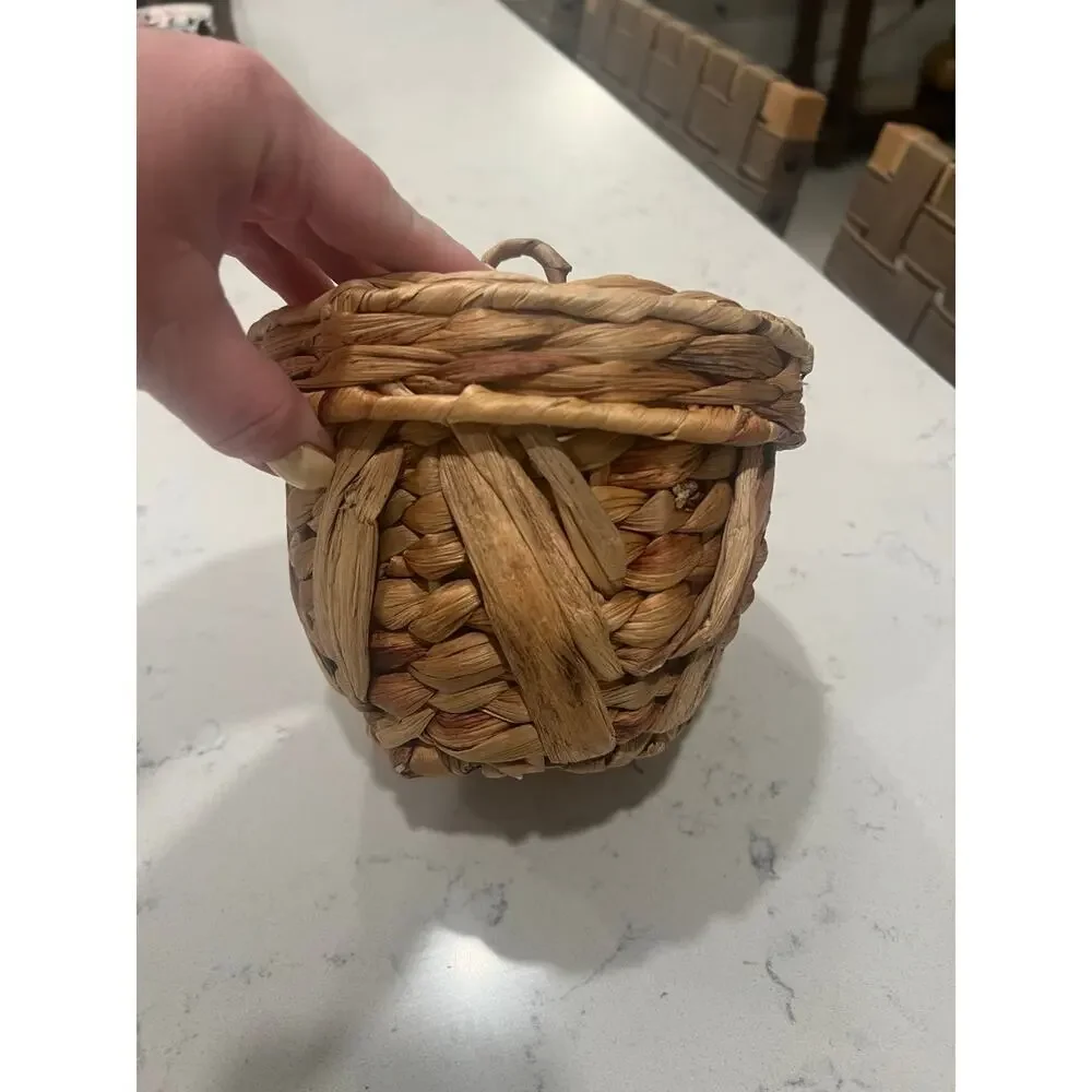 NWT Small Circle Woven Canister